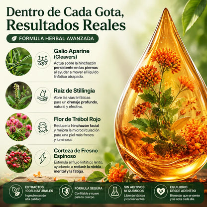 Gotas de apoyo para sentirte más liviana, activa y desinflamada.